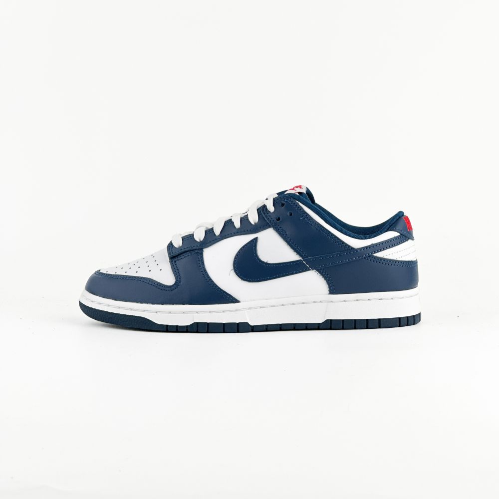 Nike Dunk Low Valerian Blue