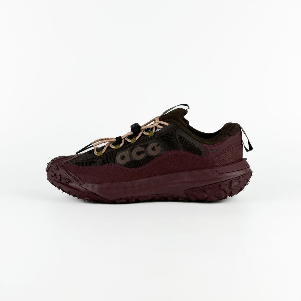 Nike ACG Mountain Fly 2 Low Gore-Tex Brown